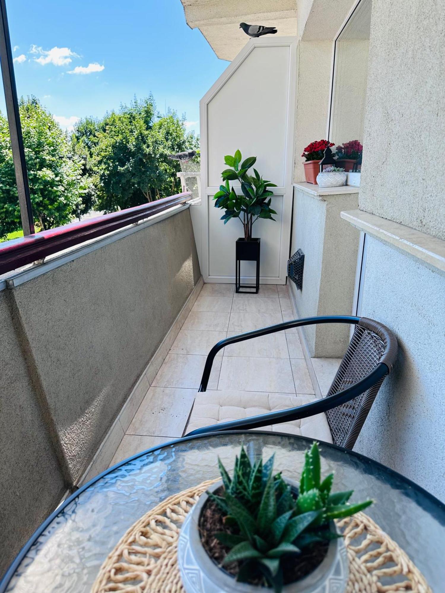 Studio Panoramic With Balcony And Parcul Unirii View Alba Iulia Exteriér fotografie
